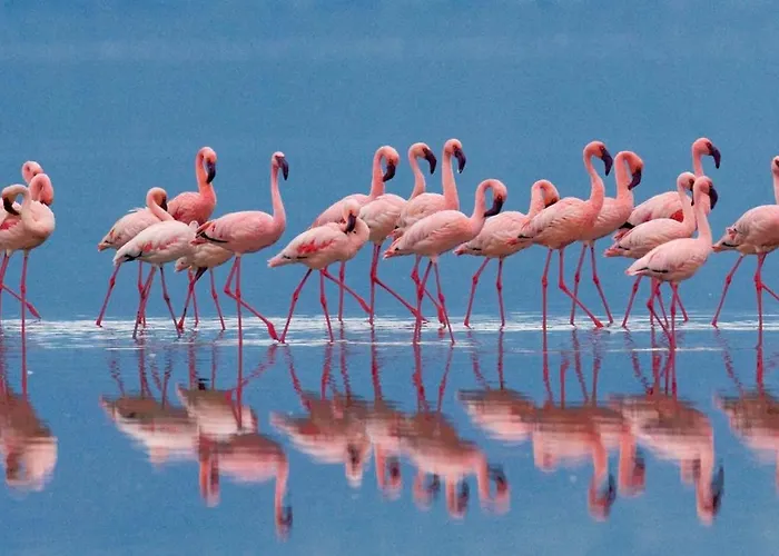 Martini Time, Panoramic Terrace On The Castle Walls * Cagliari